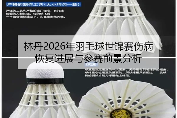 lin-dan-nian-yu-mao-qiu-shi-jin-sai-shang-bing-hui-fu-jin-zhan-yu-can-sai-qian-jing-fen-xi-2-413.jpg
